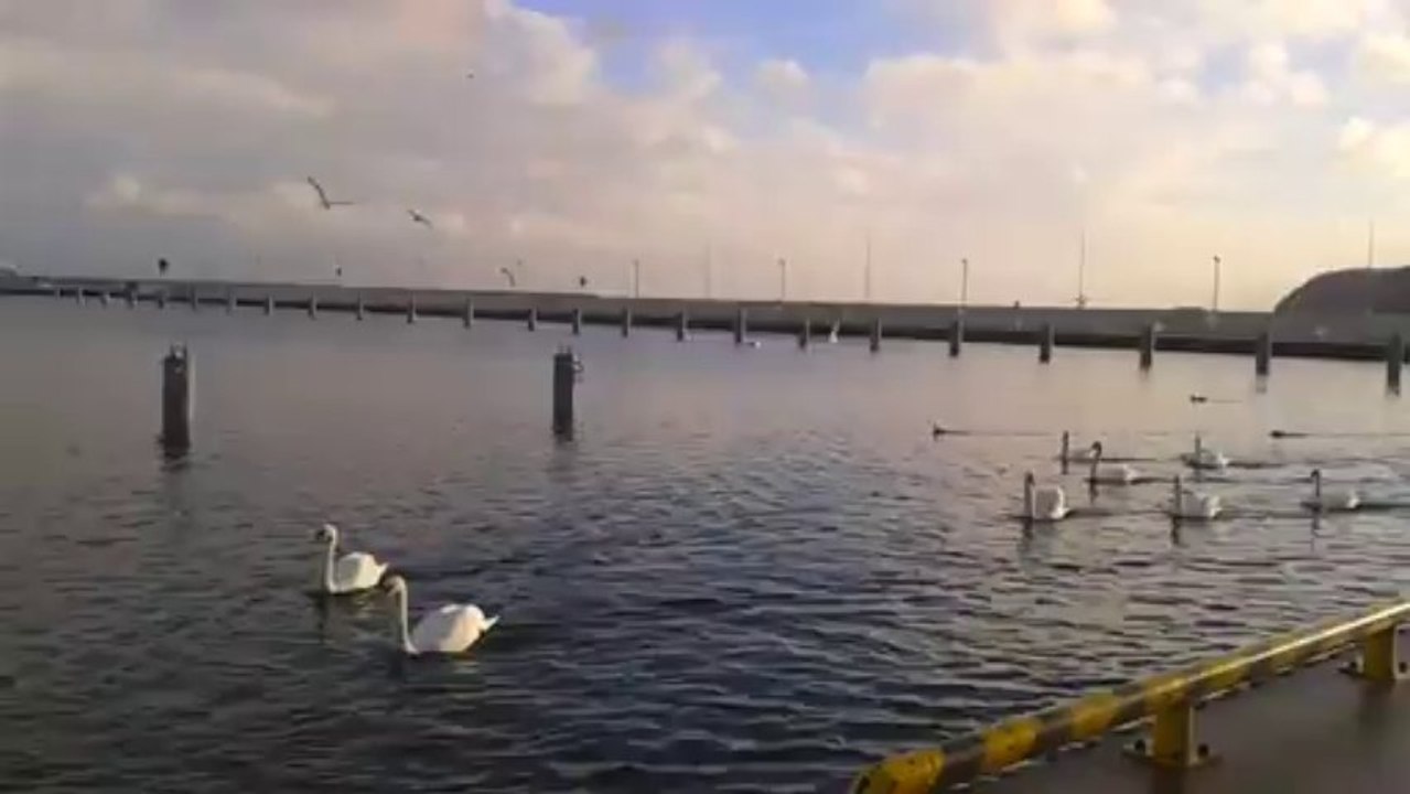 20140112_130857