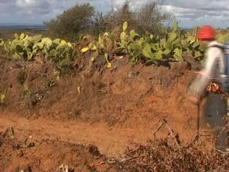 L'île rouge pas à pas. première partie
