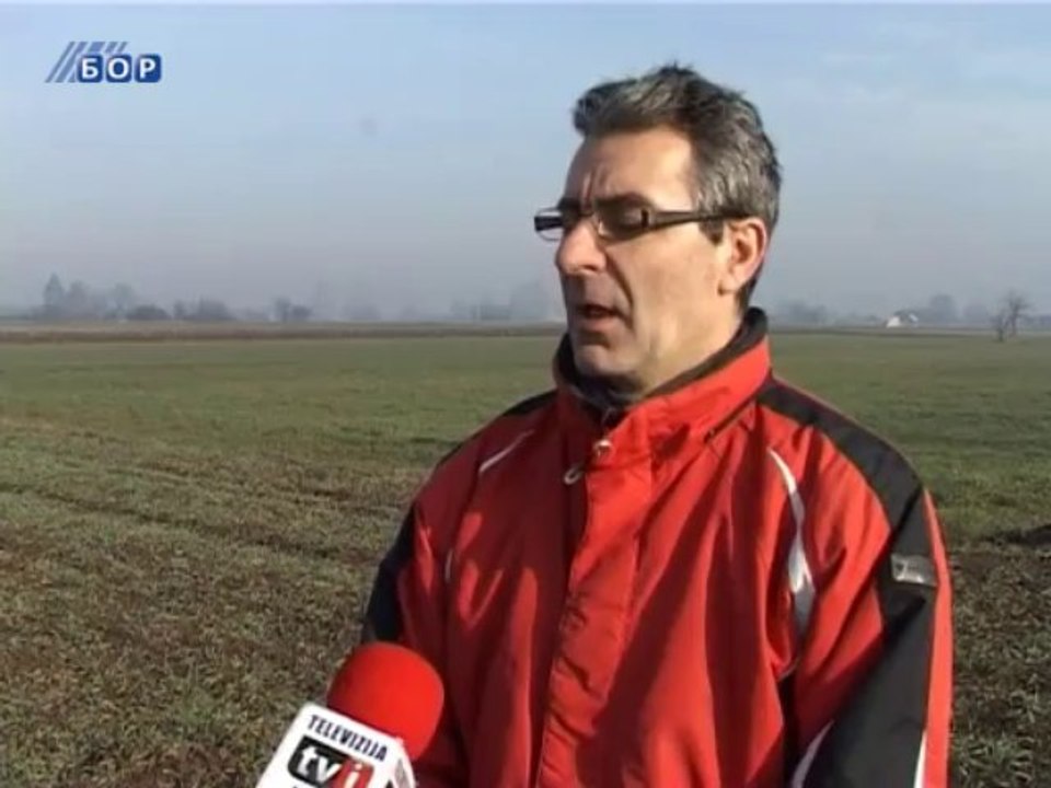 Temperatura iznad nule pogoduje usevima, 12. januar 2014.