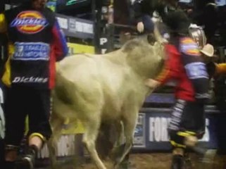 PBR : Out of the Chute - Teaser
