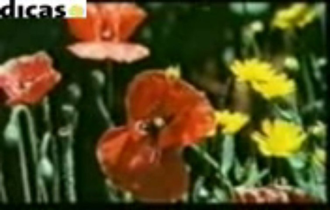 Aaj Mausam (Rafi)