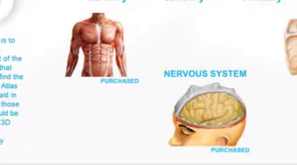 Animated Anatomy - 3D Anatomy Software