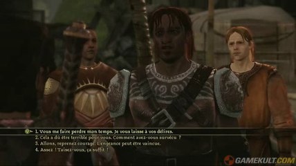 Dragon Age : Origins - T'as l'air convaincu, bob