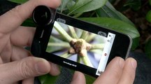 OlloClip : objectif 3 en 1 pour iPhone