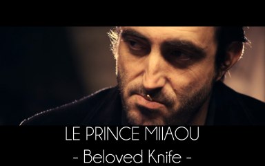 Le Prince Miiaou - Beloved Knife (extrait 3/6 de l'album 'where is the queen?') Teaser #3