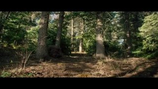 Lone Survivor Trailer  [HD]