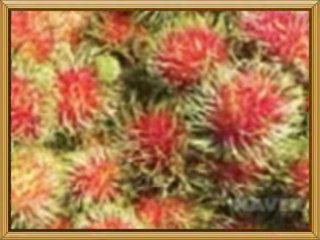 경험담 abam3.com 성남오피 [인천-런닝맨-인천오피] 강남구청오피 서울역오피 쌍문오피