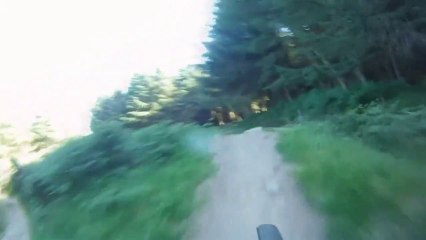 Go Pro Mountain Biking Trail Crash