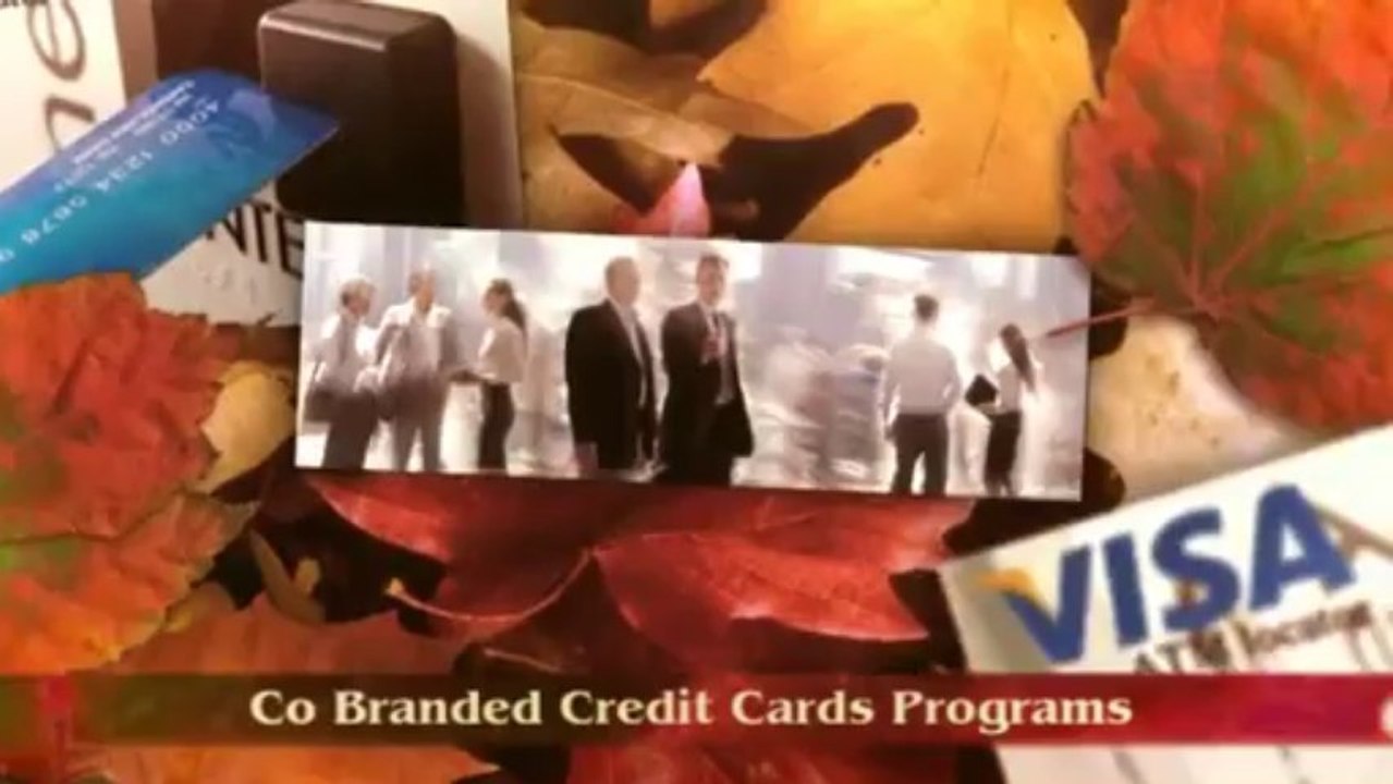 Prepaid Debit Card Programs