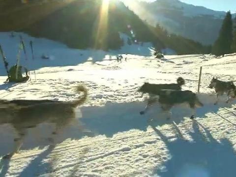 Coup d'envoi de la Grande Odyssée en Haute-Savoie - 13/01