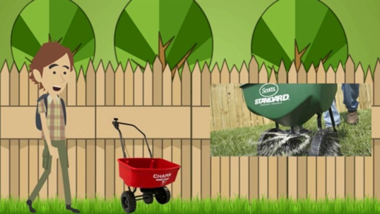 How to Achieve a Healthy Lawn
