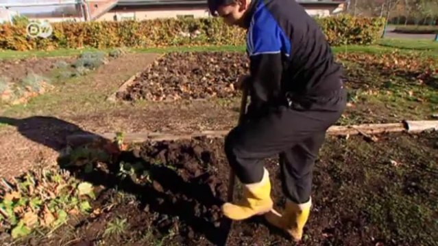 Talk mit Musiker und Autor Sven Regener | Typisch deutsch