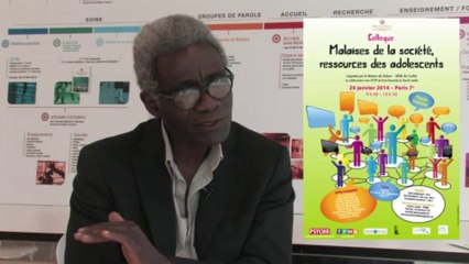 Colloque Ados 24 janvier 2014 Jonathan Ahovi