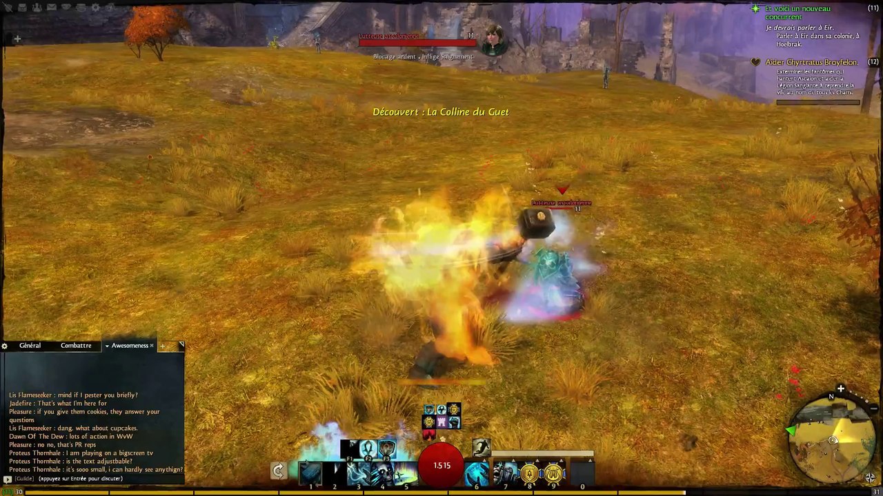 Guild Wars 2 - Le Gardien en action