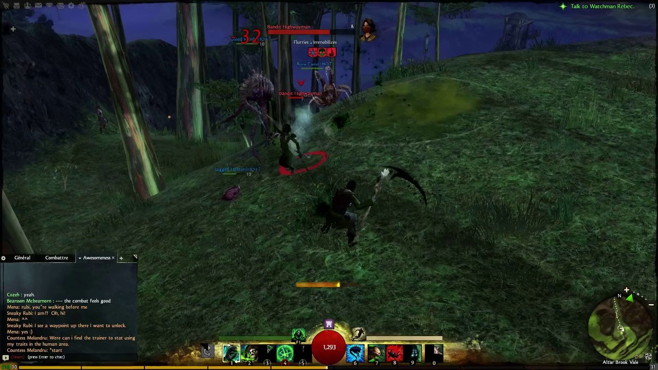 Guild Wars 2 - Le Nécromant en action