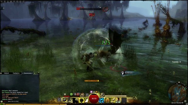 Guild Wars 2 - Le Rôdeur en action