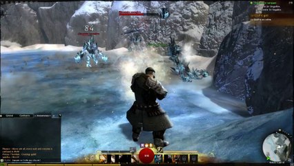 Guild Wars 2 - Le Guerrier en action