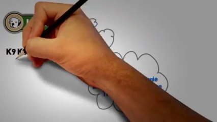 Do You Need a Doggie Day Care and Obedience Training Service? K9 Koralls in Sarasota is a Full Service Facility!