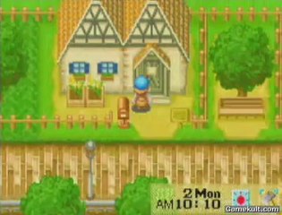 Harvest Moon : Friends of Mineral Town - Achat de graines