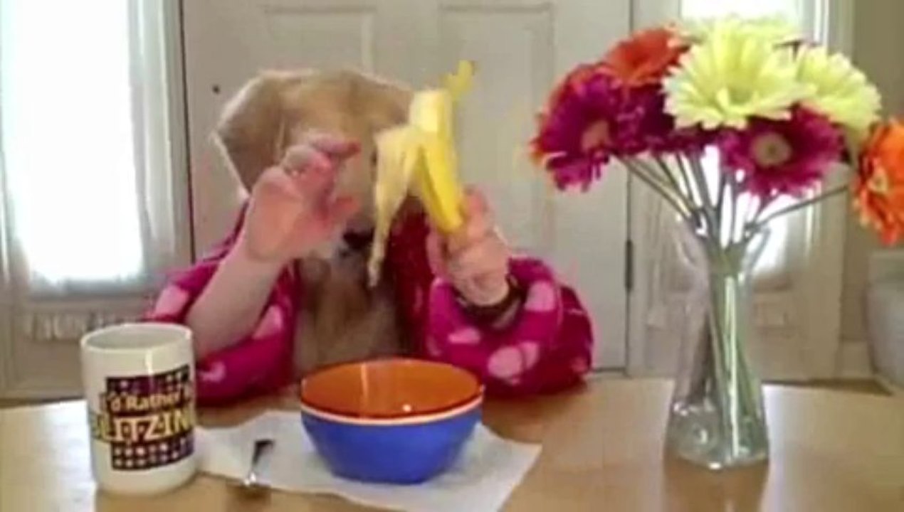 Petit déjeuner
