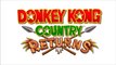 Button Bash - Donkey Kong Returns Music Extended (Minimized)
