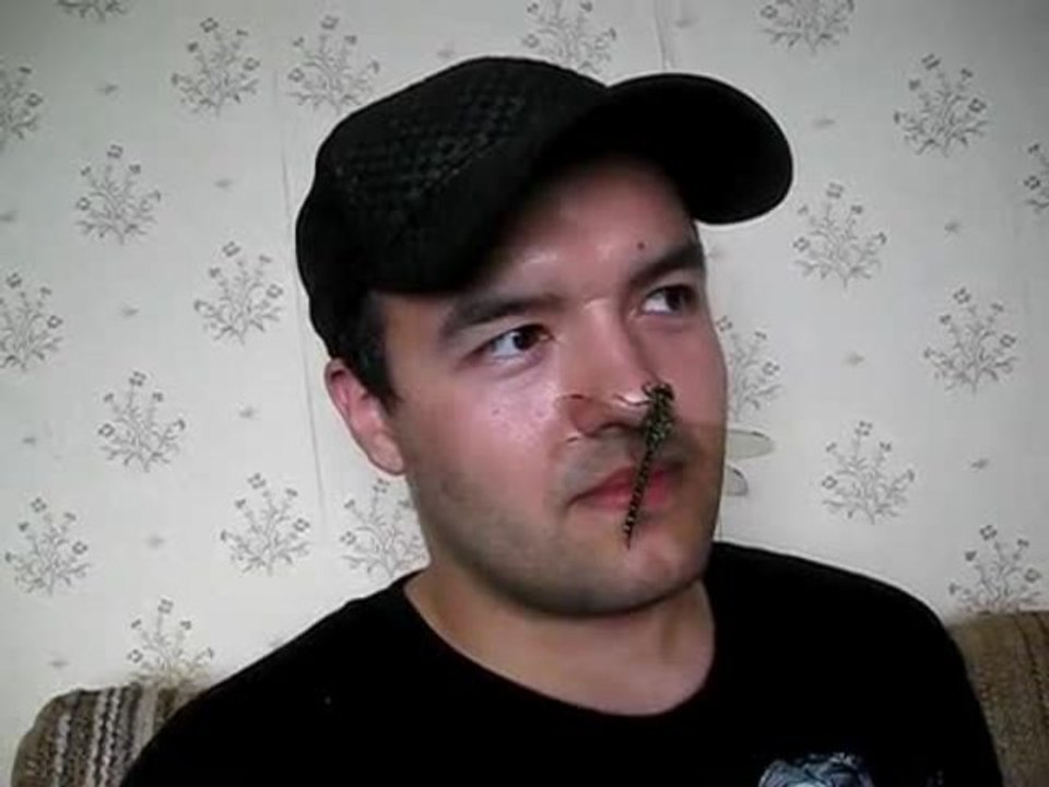 Homme mange une libellule vivante