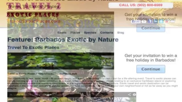 Self Publishing For Authority and Bookings in Tourism