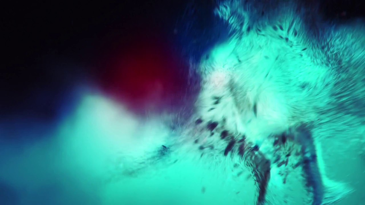 Strife - Rook Teaser