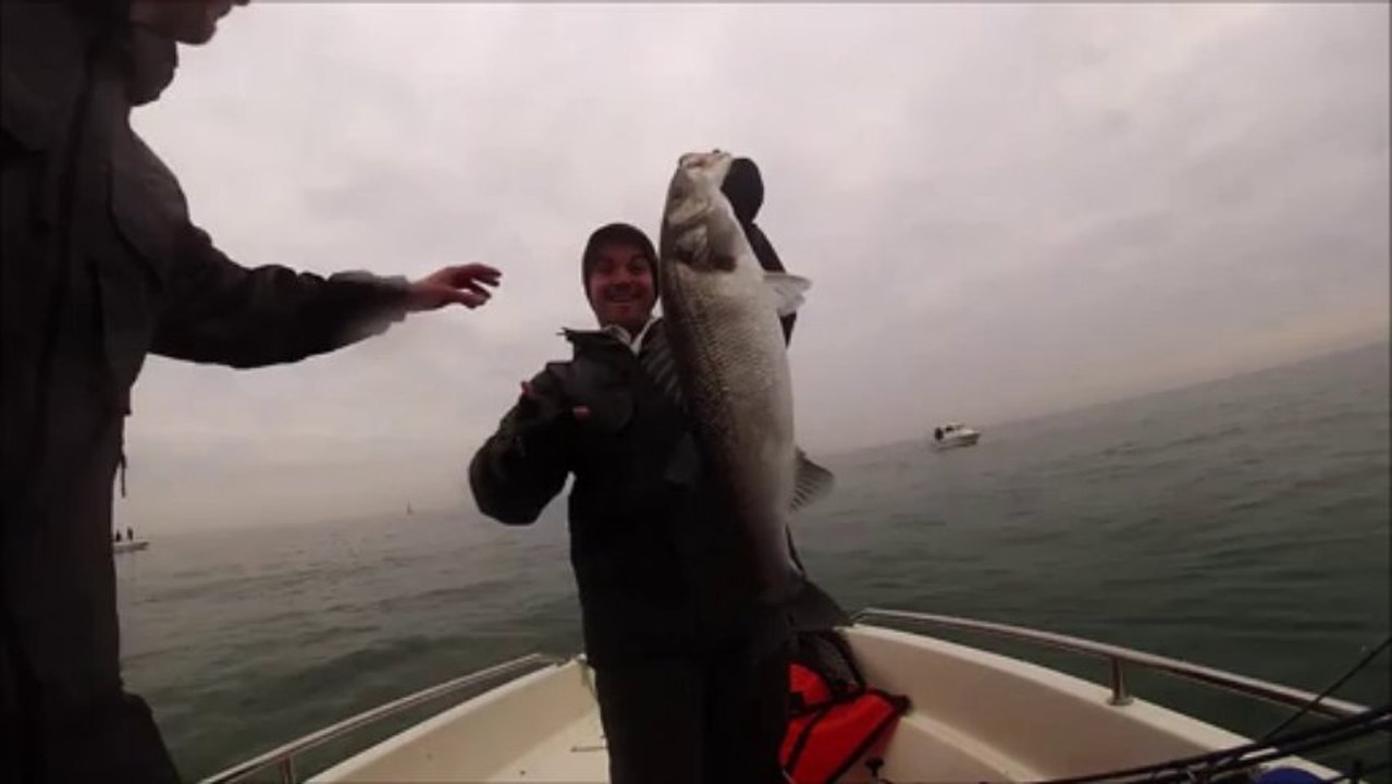 huge seabass