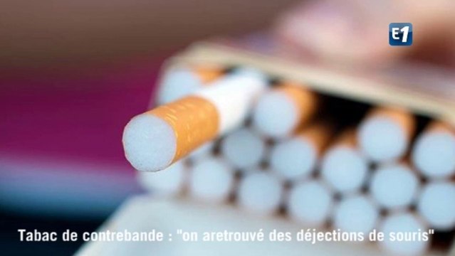 Le tabac de contrebande décortiqué par le laboratoire des Douanes