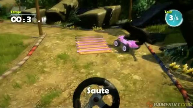 Kinectimals - La panthère noire sur le kart rose