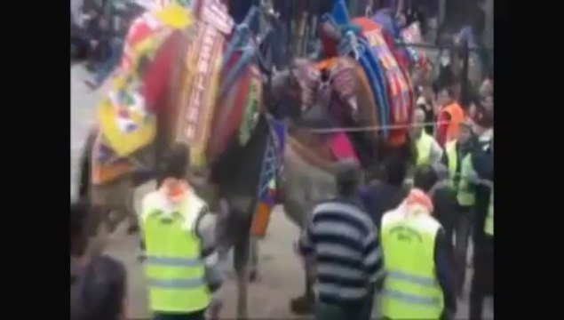 'Sağcı', 'Solcu' ve 'Tekçi' develer