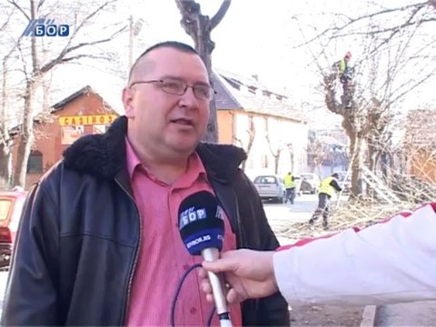 Usred zime orezuju drvorede, 13. januar 2014.