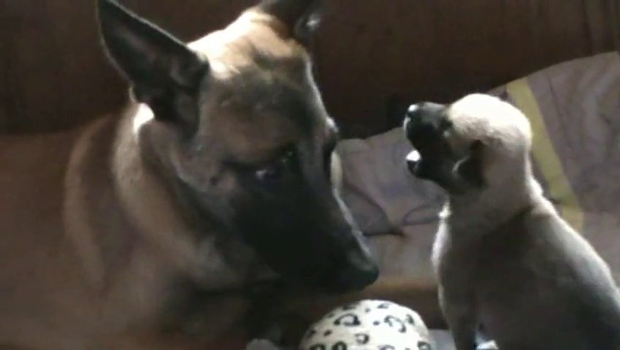 Be Aware Ewya @ Uncle Bino