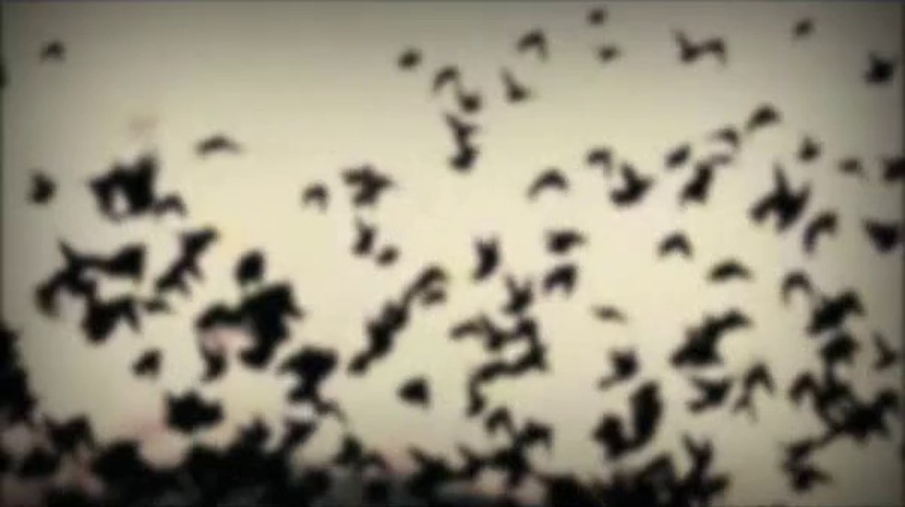 Alone in the Dark : Inferno - Montage Live