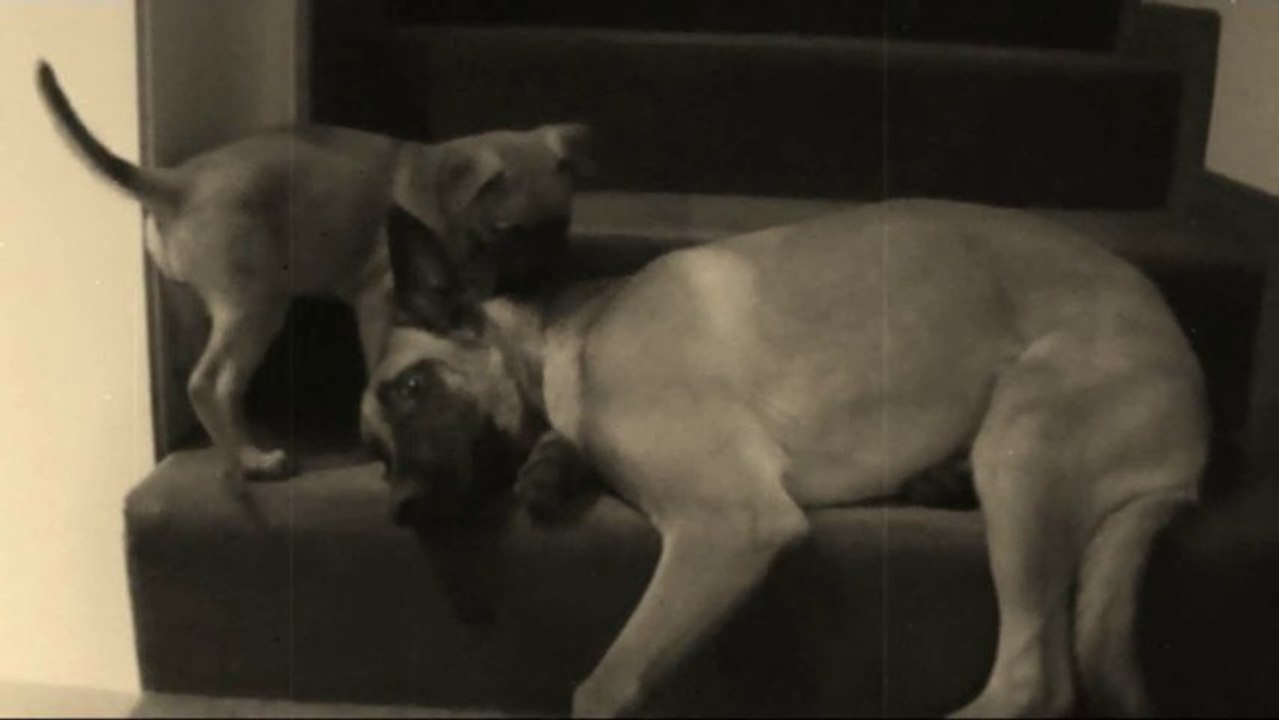 Be Aware Eywa & Bino @ Stairway to heaven