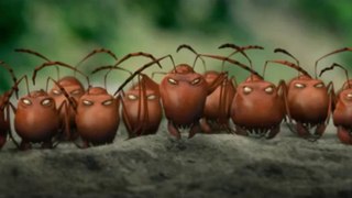 MINUSCULE -La Vallée des fourmis Perdues- Bande Annonce (2014)