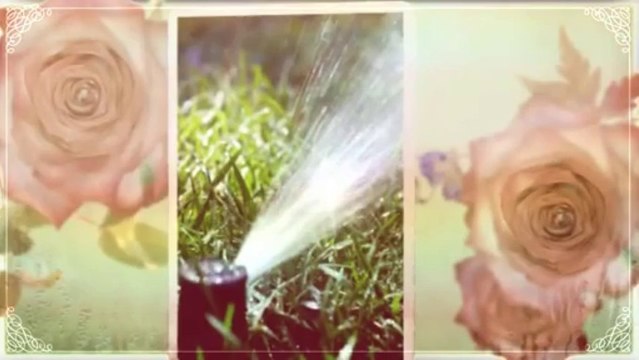 Tadeos Landscaping (650) 280-2770