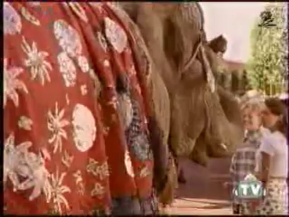 Elephant's Memory