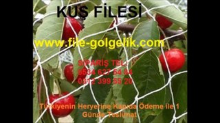 kuş-file,kus-filesi,kuş-örtüsü,kuş-koruma-filesi, Kuş filesi, kuş ağı, kuş fileleri, kuş ağları, kuş önleme filesi