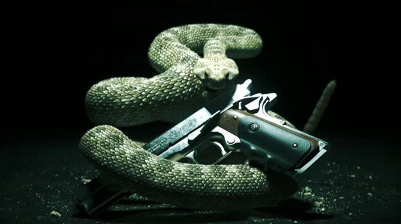 Hitman : Absolution - Teaser