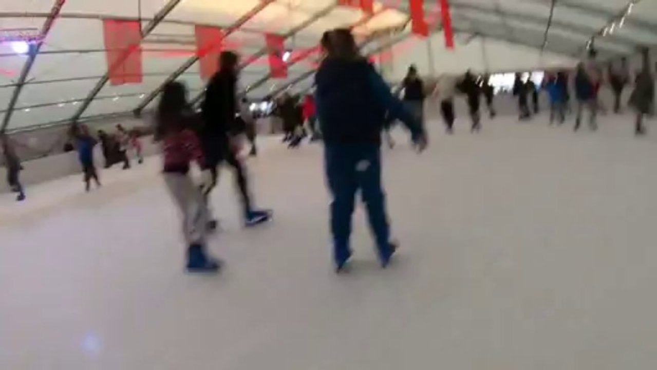 RDS Dublin Ice Skating Jan 2014 video Dailymotion