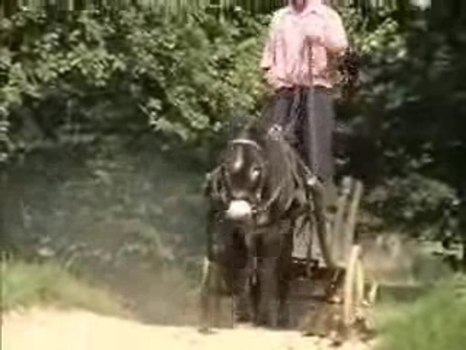 Ferme du Cheval de Trait