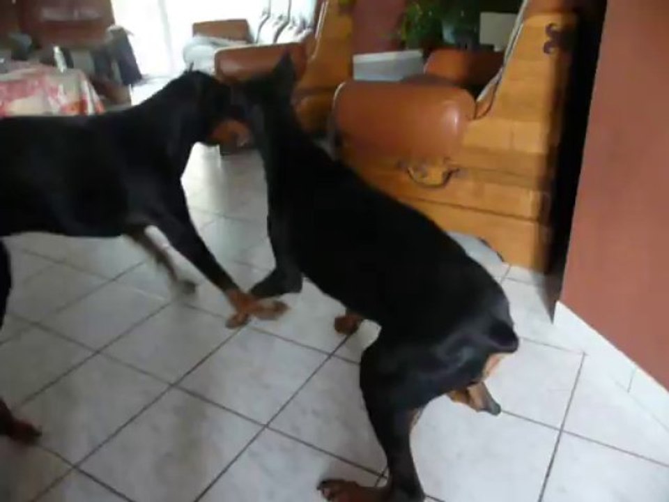 deux petits jeunes...