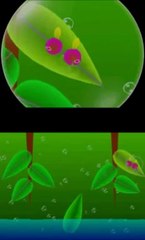 Electroplankton : Hanenbow - Vidéo de gameplay