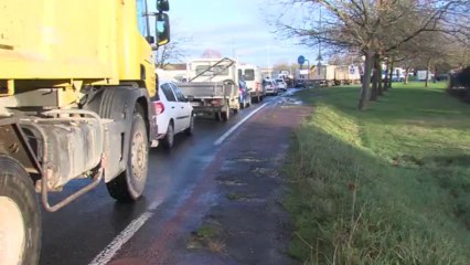 Célà tv Le JT - Les centres équestres bloquent Rochefort