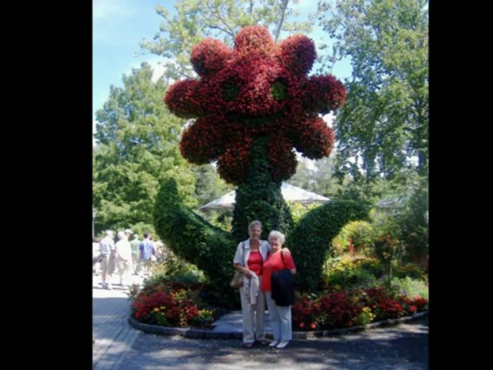 Sängerfahrt zum Internationalen Shanty-Festival in Romanshorn/Schweiz