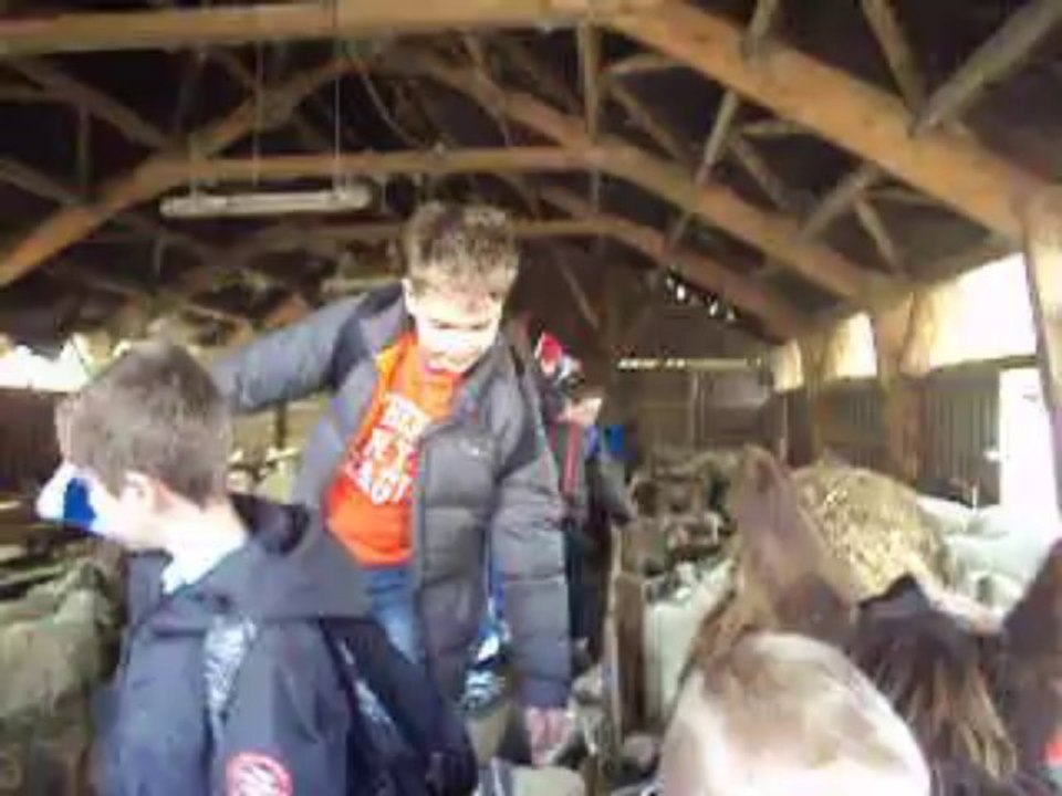 LA BERGERIE 2