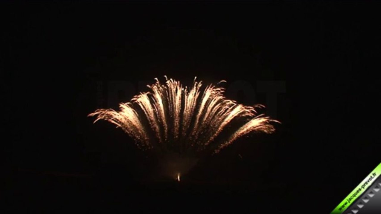 Compact 100 tirs PAF Or