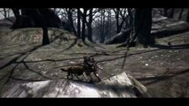 Dragon's Dogma - Strider Part 2
